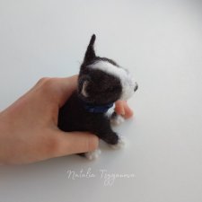 Бультерьер