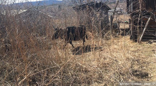 Крошечка в ладошечке. История третья (фото 2)