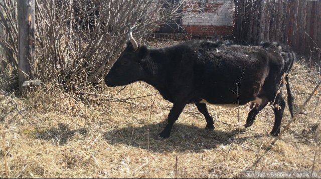Крошечка в ладошечке. История третья (фото 3)