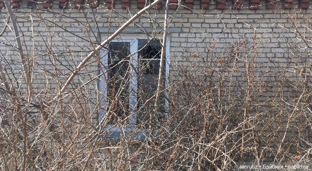 Крошечка в ладошечке. История третья