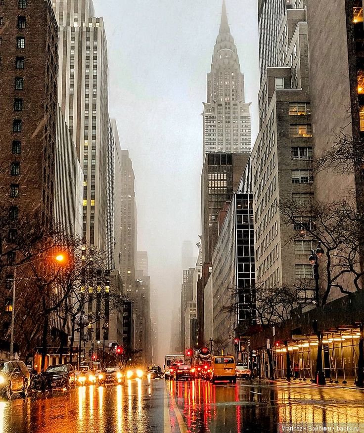 Мисс Бэйбики 2019. Бренда. Презентация (фото 2)