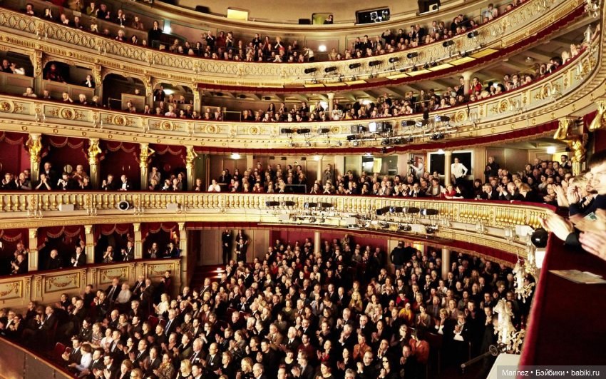 "Куда поедут паолитосы?" Топик-викторина с призом первому отгадавшему "куда"