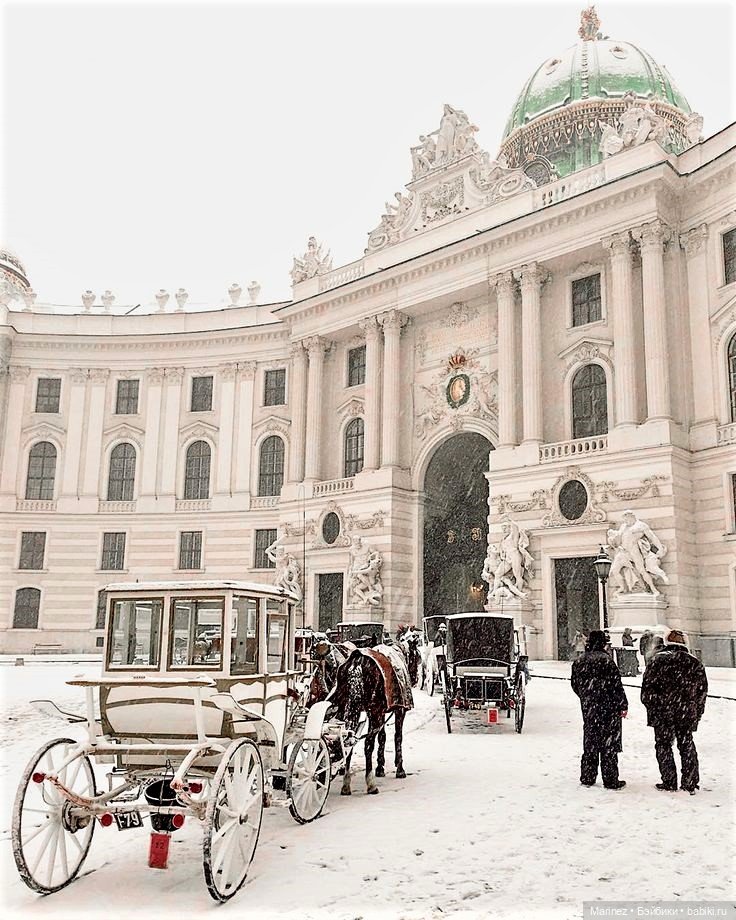 "Куда поедут паолитосы?" Топик-викторина с призом первому отгадавшему "куда" (фото 6)