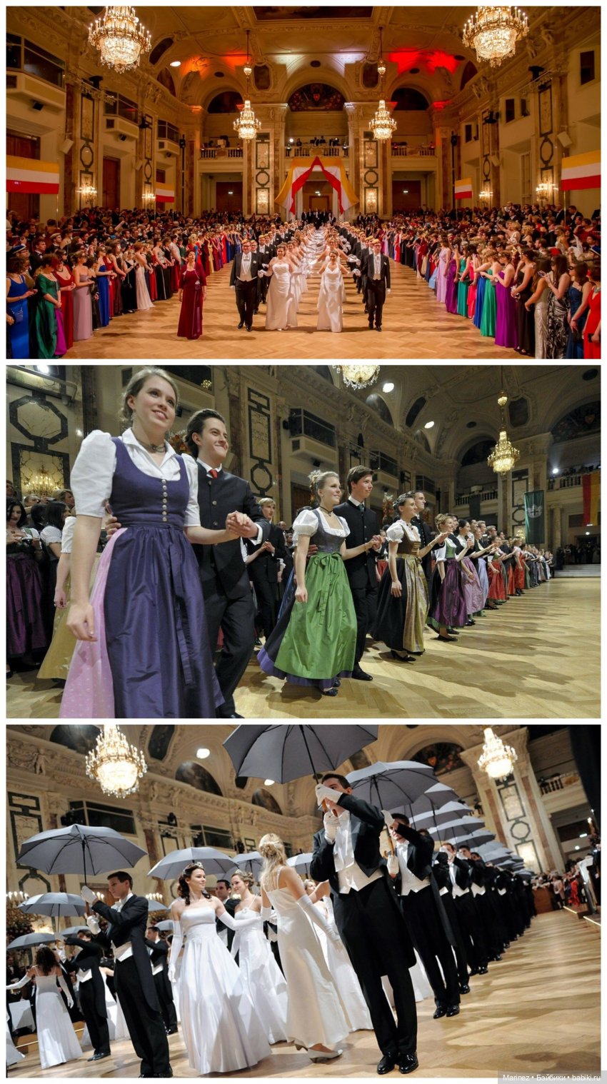 "Куда поедут паолитосы?" Топик-викторина с призом первому отгадавшему "куда"