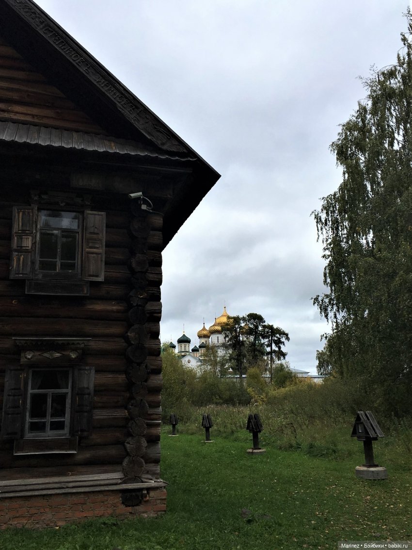 Приезжайте в Кострому! Продолжение путешествия мини-вихтеля Ниночки