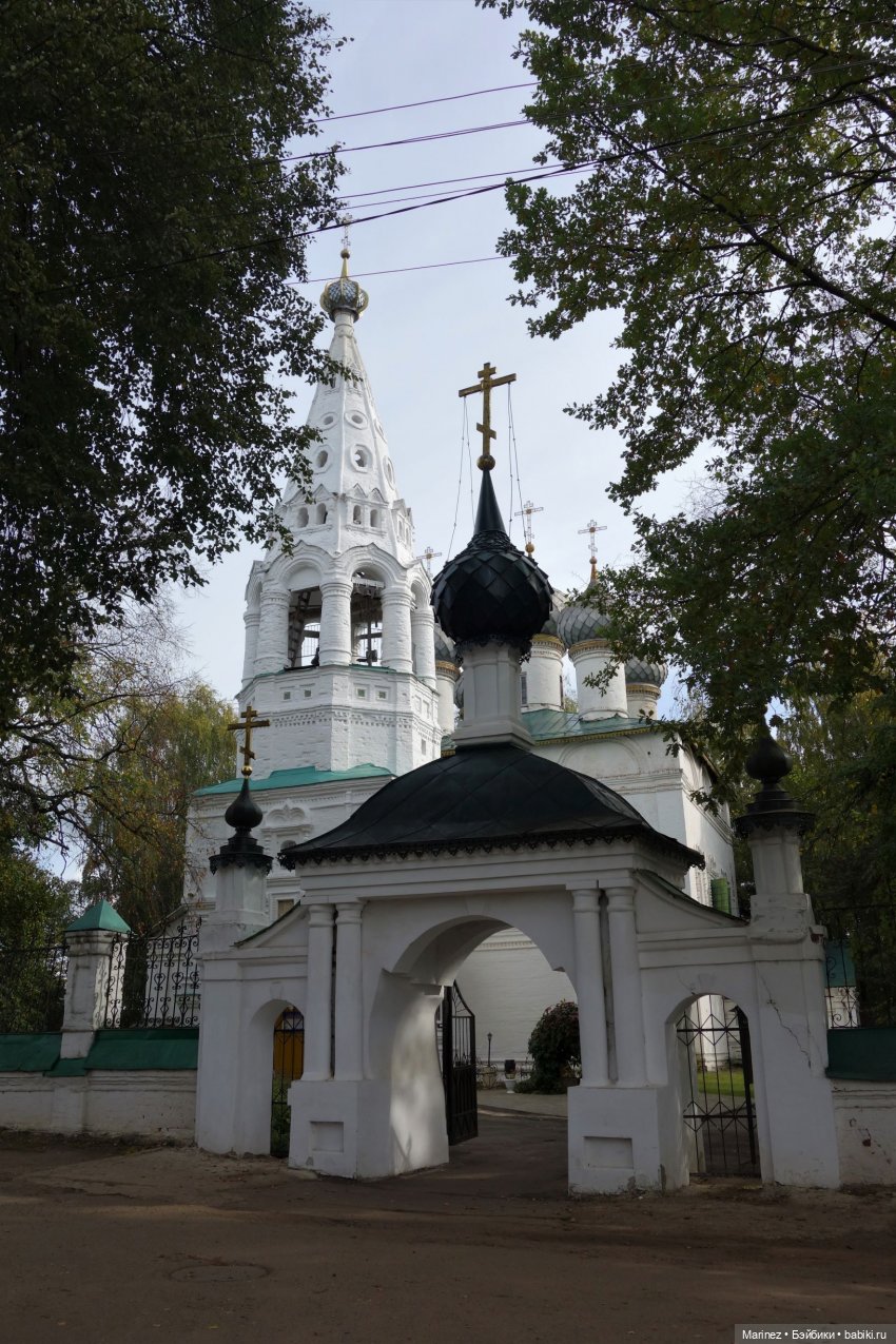 Приезжайте в Кострому! Продолжение путешествия мини-вихтеля Ниночки