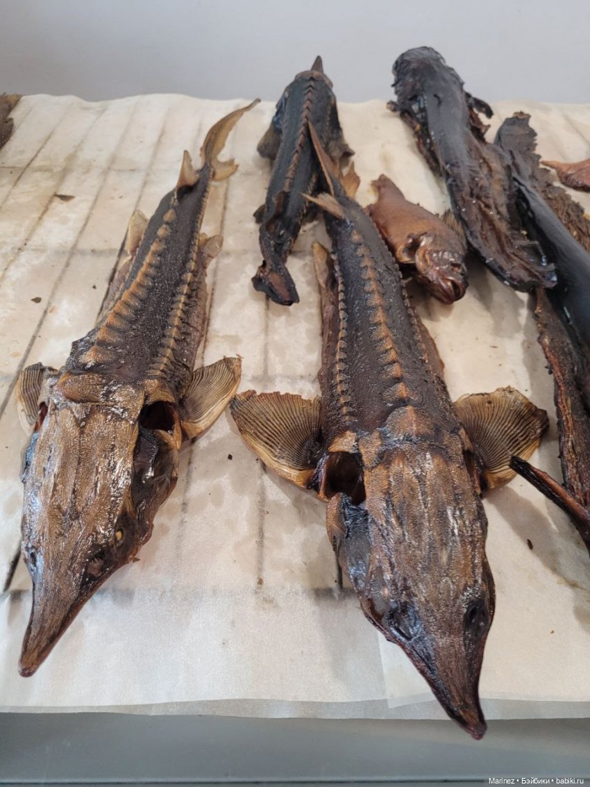 Бабайкины детишки собрались в путь. Знакомьтесь мои новые кукложители