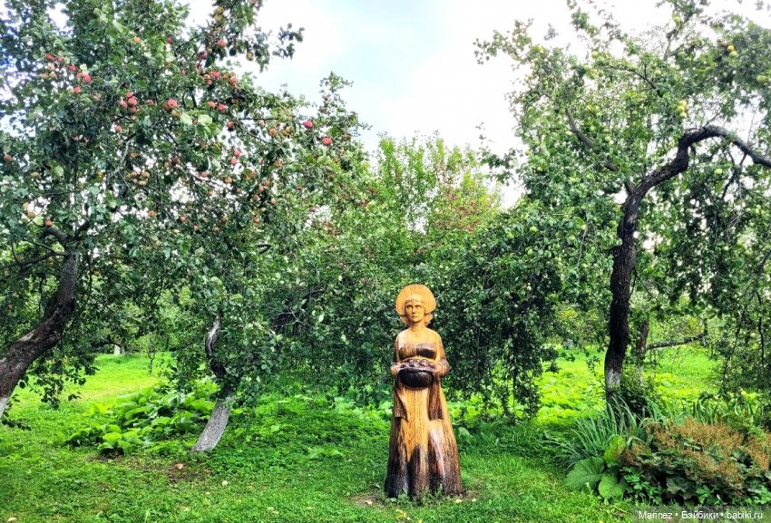 Настоящие сыщики Боцман-Пес и Граф-Лис (Лис-граф) в поисках сокровища королевы (фото 4)