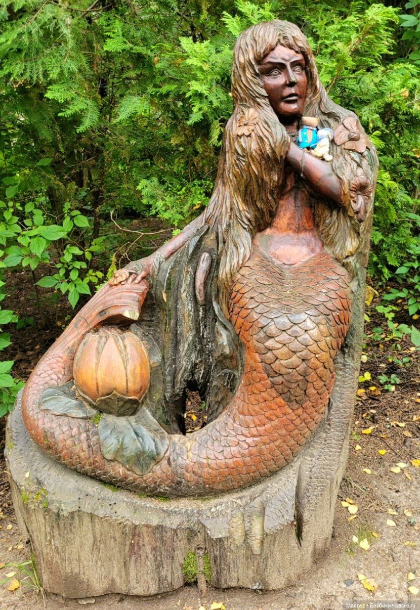 Настоящие сыщики Боцман-Пес и Граф-Лис (Лис-граф) в поисках сокровища королевы (фото 6)