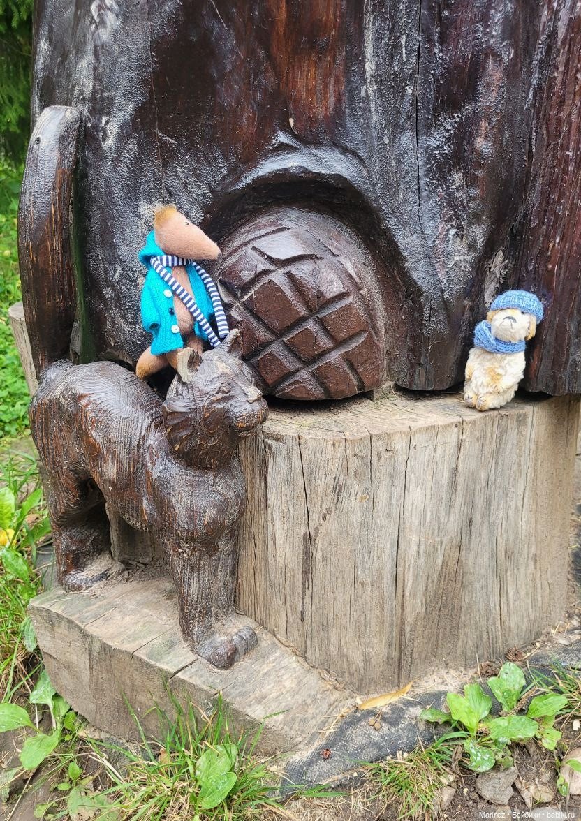 Настоящие сыщики Боцман-Пес и Граф-Лис (Лис-граф) в поисках сокровища королевы (фото 7)