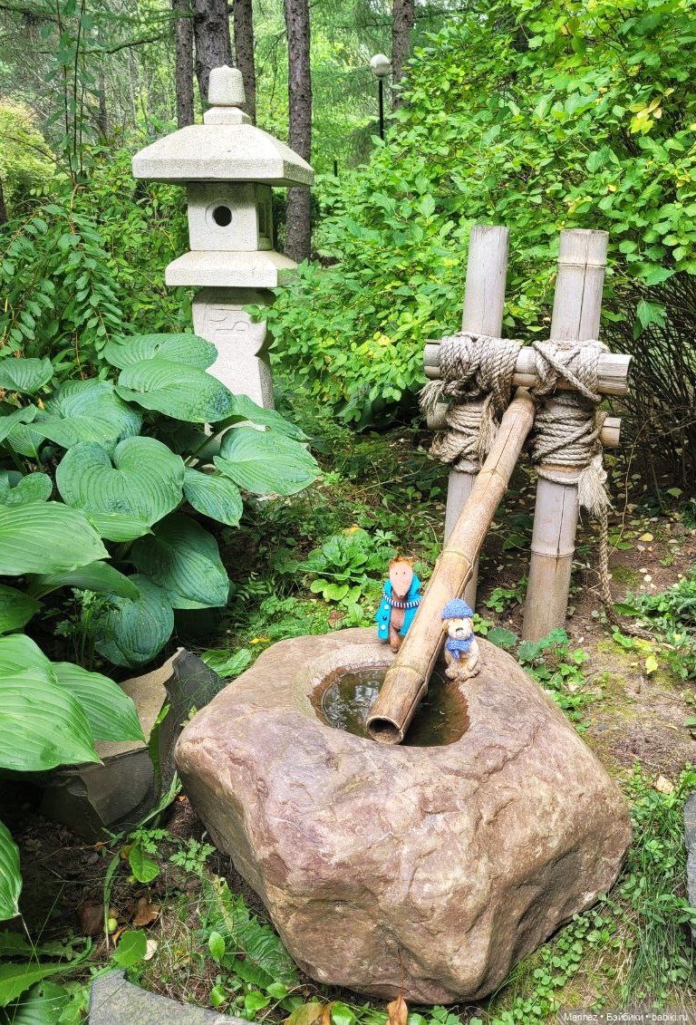 Настоящие сыщики Боцман-Пес и Граф-Лис (Лис-граф) в поисках сокровища королевы