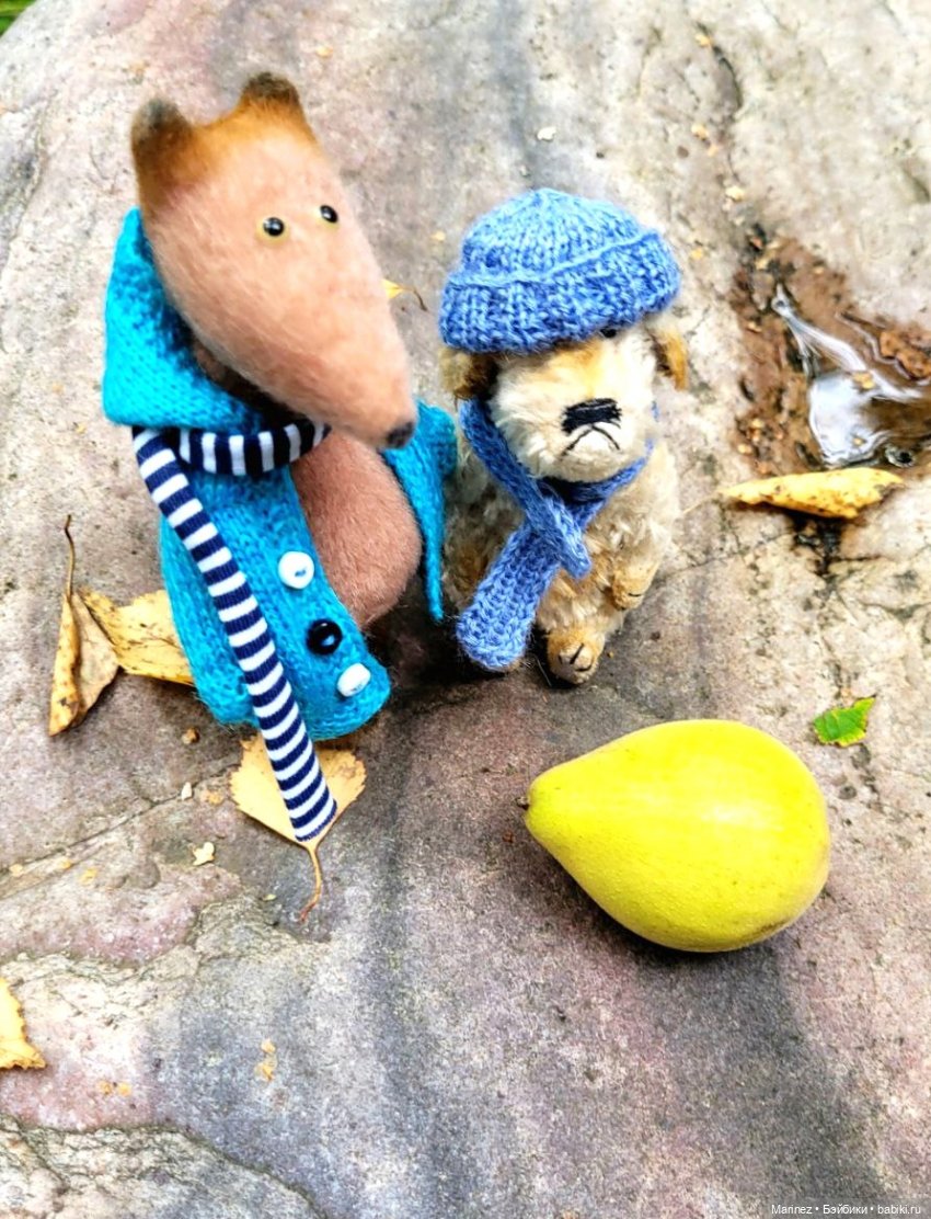 Настоящие сыщики Боцман-Пес и Граф-Лис (Лис-граф) в поисках сокровища королевы