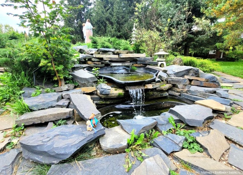 Настоящие сыщики Боцман-Пес и Граф-Лис (Лис-граф) в поисках сокровища королевы