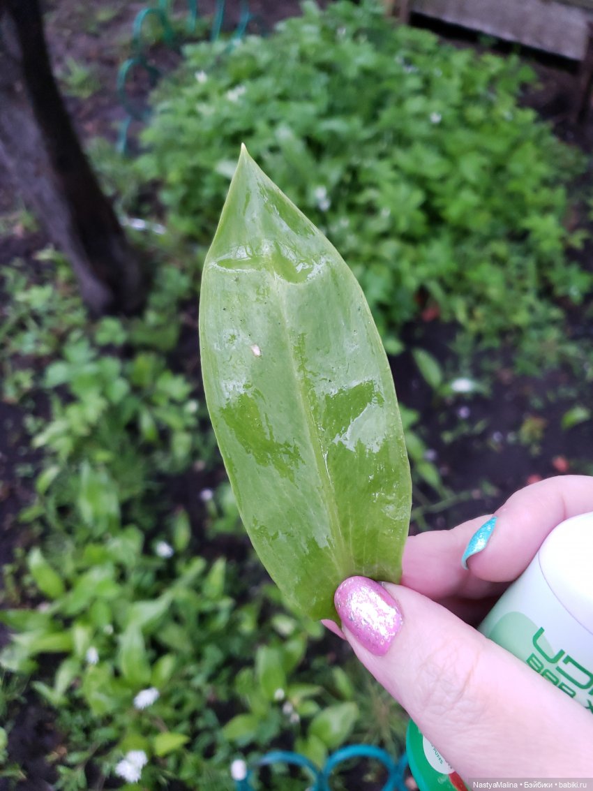 Дача ( часть 1) | Бэйбики Дача ( часть 1) — Куклы Integrity Toys (Интегрити): Poppy Parker