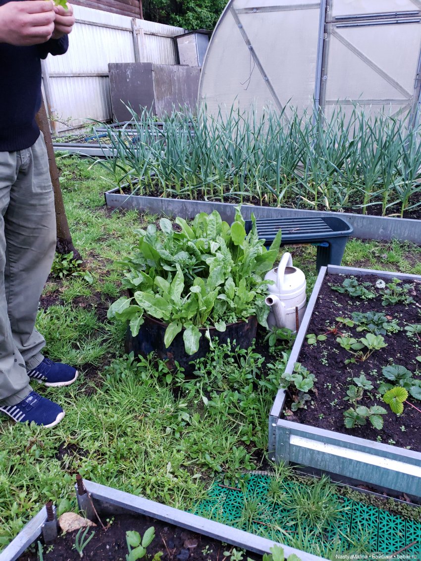 Дача ( часть 1) | Бэйбики Дача ( часть 1) — Куклы Integrity Toys (Интегрити): Poppy Parker