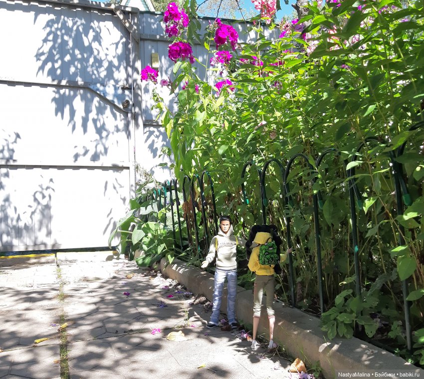 (Прошлогодняя поездка на дачу (часть 8) | Бэйбики (Прошлогодняя поездка на дачу (часть 8) (фото 3)