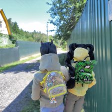 (Прошлогодняя поездка на дачу  (часть 8)