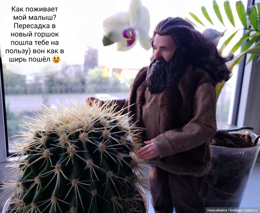 И снова сборы на дачу ( 2 часть) | Бэйбики И снова сборы на дачу ( 2 часть) (фото 8)