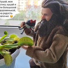 И снова сборы на дачу ( 2 часть)