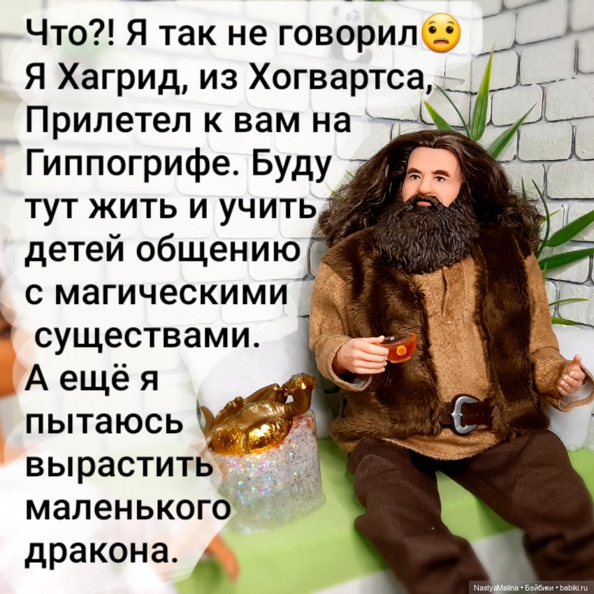 Очередной новенький (Хагрид) и про Шугу | Бэйбики Очередной новенький (Хагрид) и про Шугу (фото 3)
