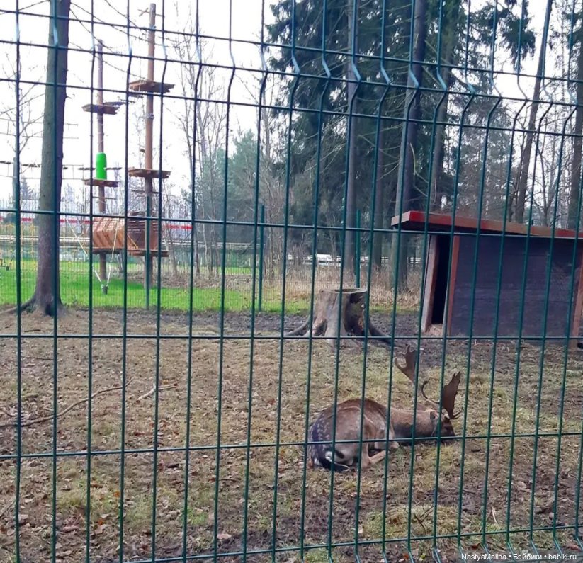 Руби и Биби едут отдыхать | Бэйбики Руби и Биби едут отдыхать