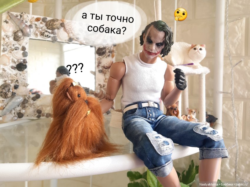 Появление Томми — Куклы Barbie (Барби): Looks