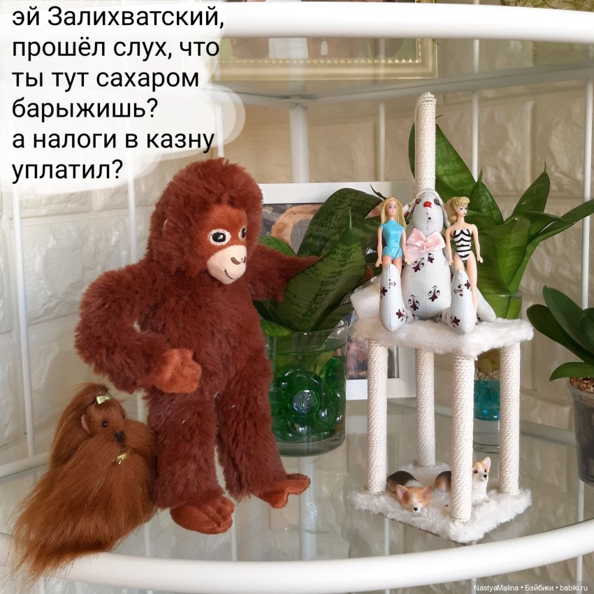 Появление Томми — Куклы Barbie (Барби): Looks