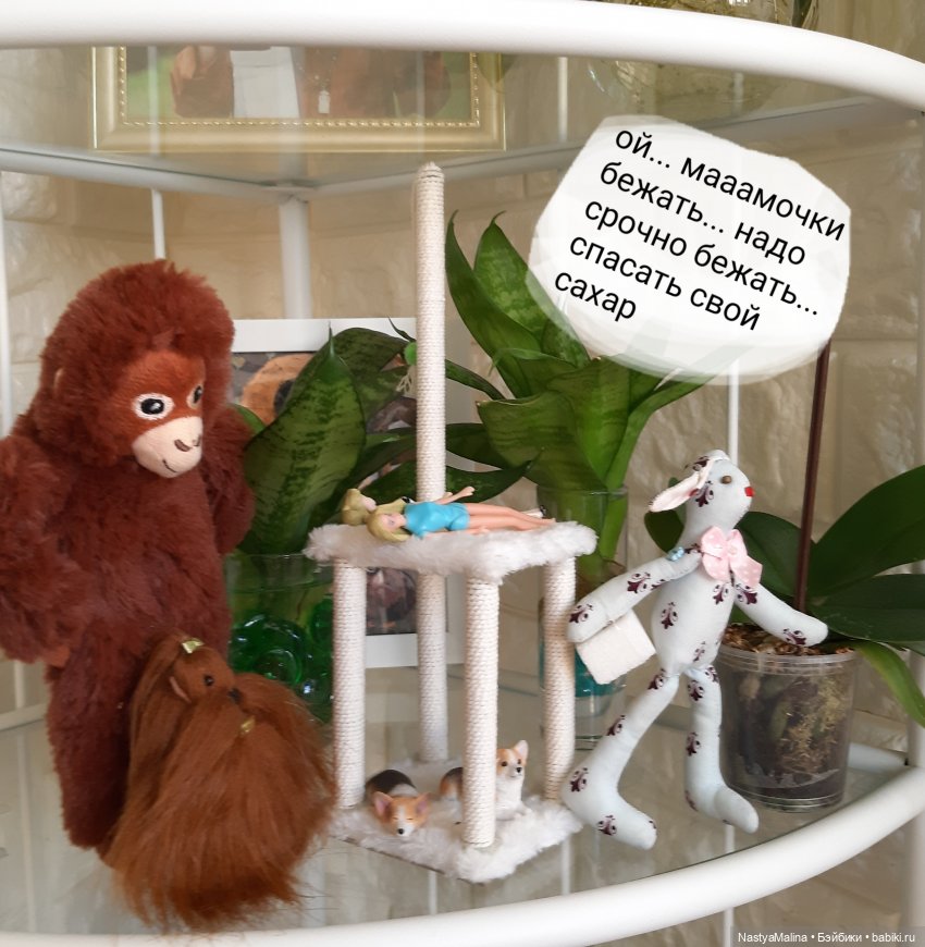 Появление Томми — Куклы Barbie (Барби): Looks