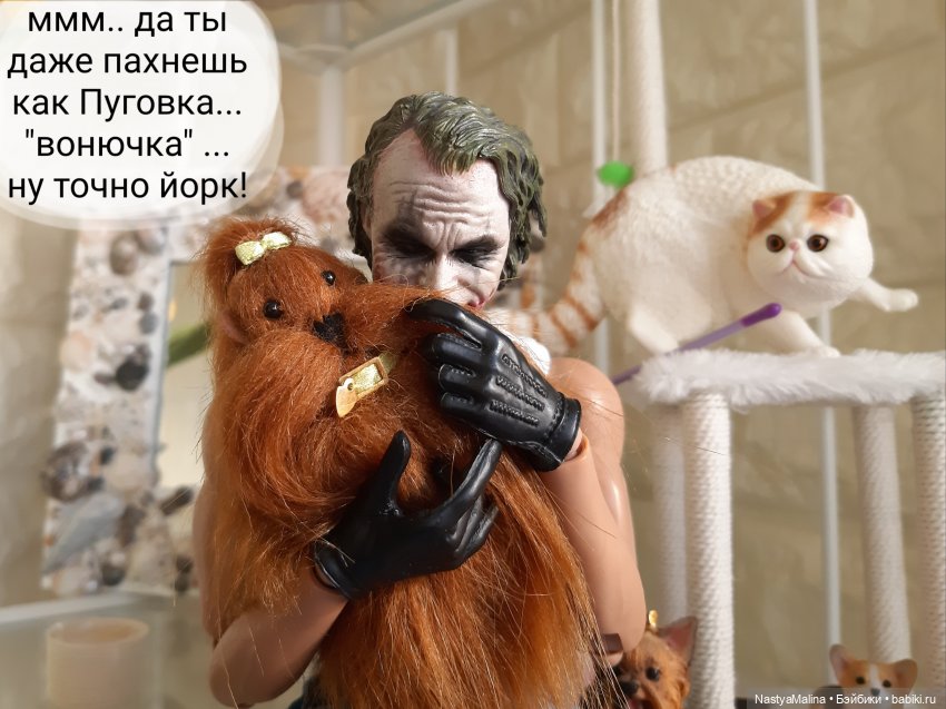 Появление Томми — Куклы Barbie (Барби): Looks