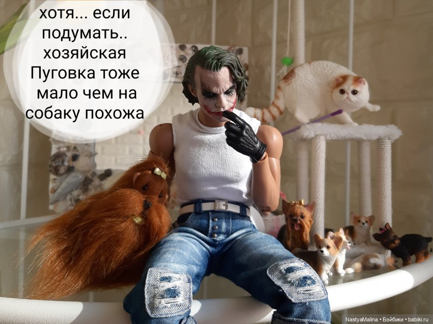 Появление Томми — Куклы Barbie (Барби): Looks