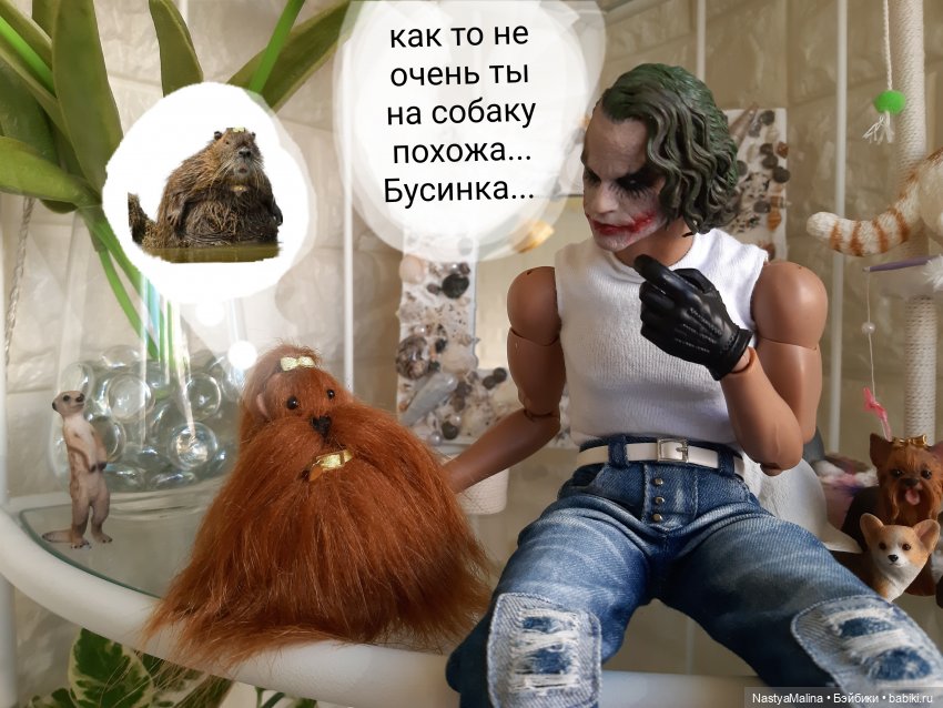 Появление Томми — Куклы Barbie (Барби): Looks