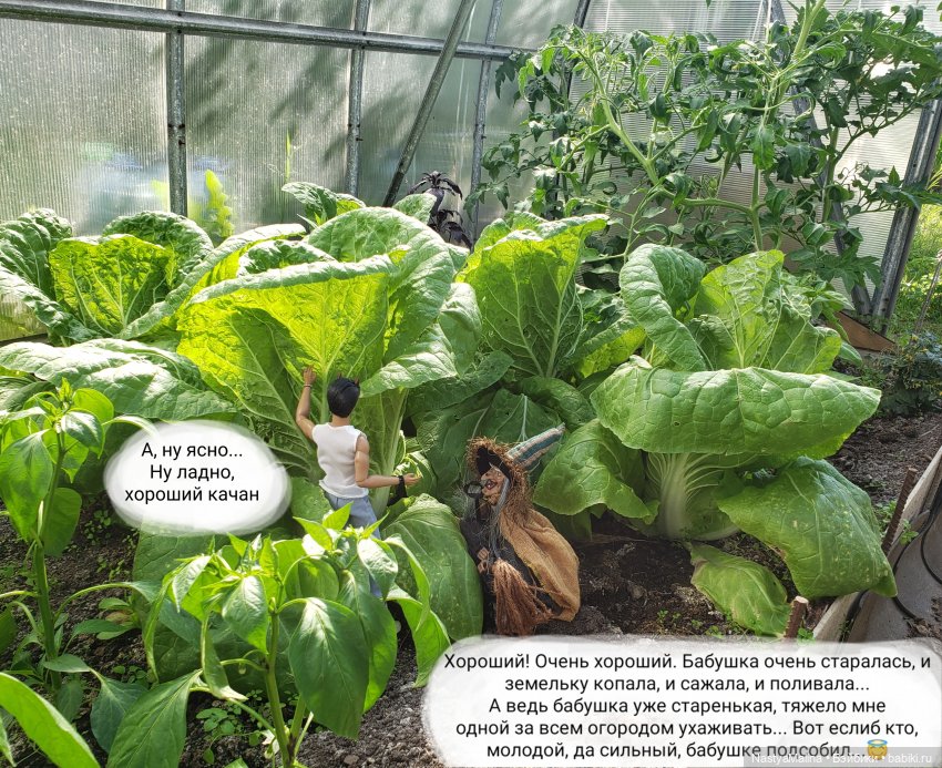 Дача 2023 (Руби, бабушка, огород) | Бэйбики Дача 2023 (Руби, бабушка, огород)