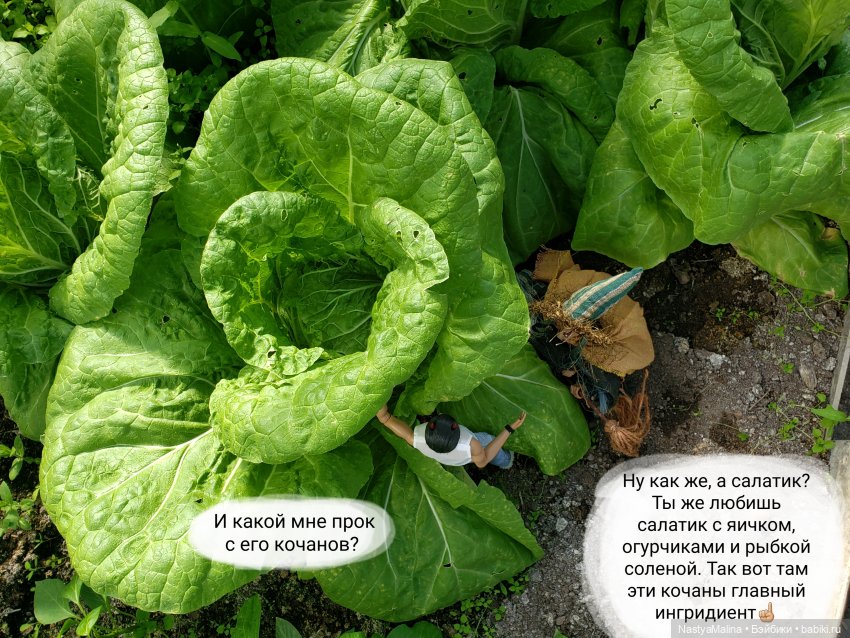 Дача 2023 (Руби, бабушка, огород) | Бэйбики Дача 2023 (Руби, бабушка, огород) (фото 10)