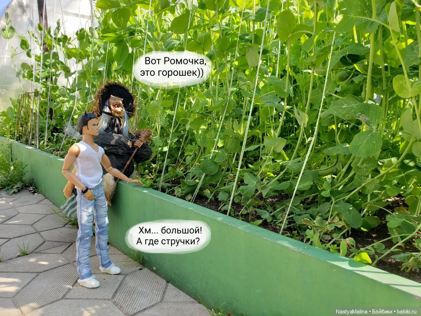 Дача 2023 (Руби, бабушка, огород) | Бэйбики Дача 2023 (Руби, бабушка, огород) (фото 6)