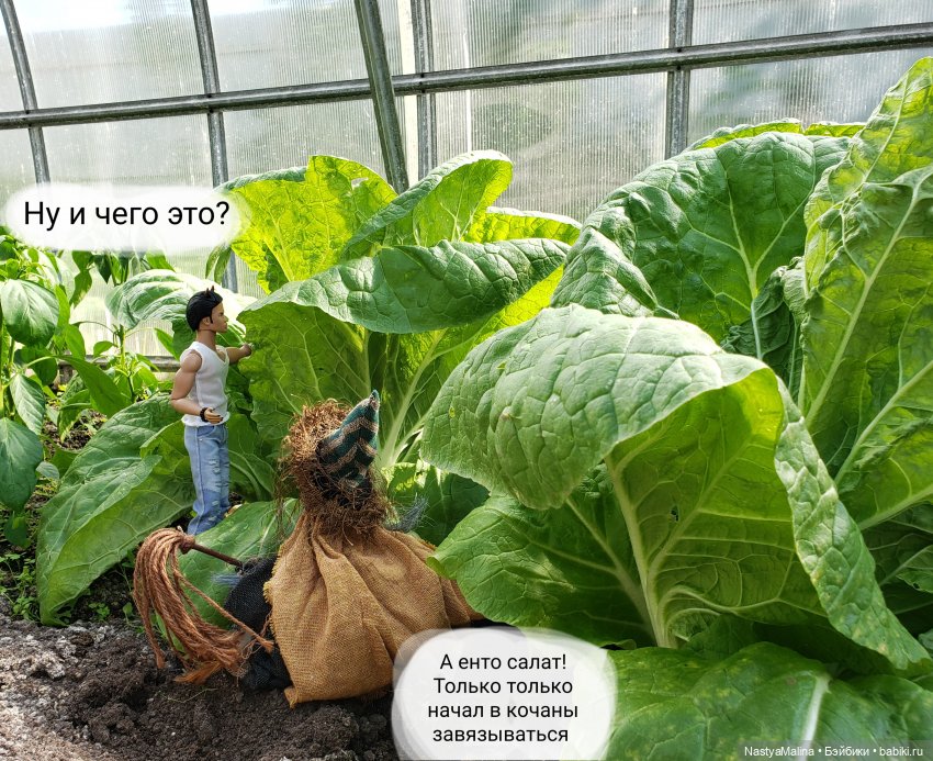 Дача 2023 (Руби, бабушка, огород) | Бэйбики Дача 2023 (Руби, бабушка, огород) (фото 9)