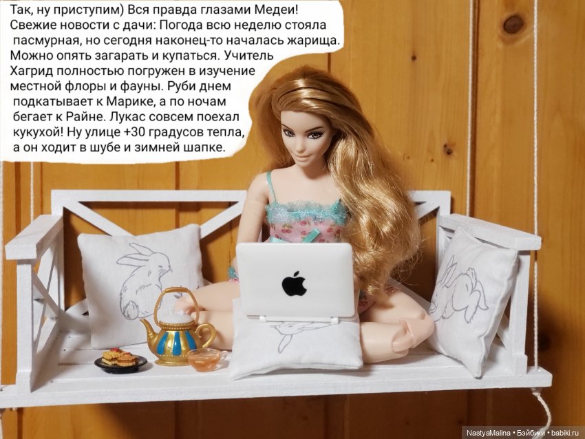 Дача 2023 ( вся правда глазами Медеи) (фото 4)