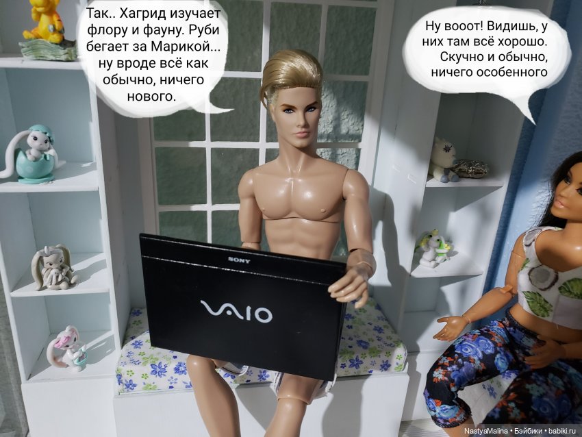 Дача 2023 ( тем временем дома...) (фото 4)