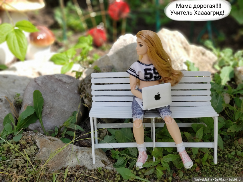 Дача 2023 (утречко у Яги - часть 2) (фото 2)