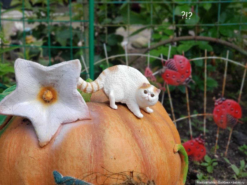 Дача 2023 ( утречко у Яги - 1 часть ) (фото 4)