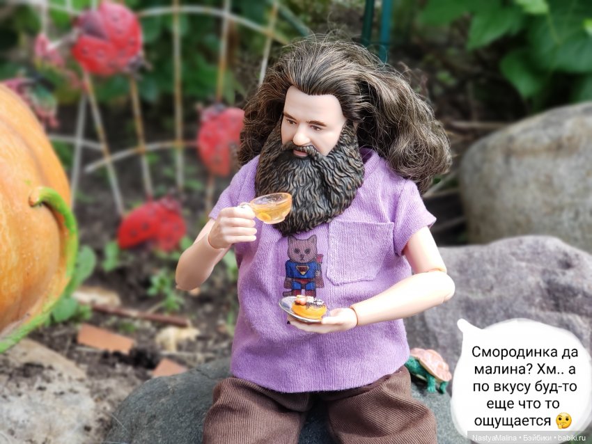 Дача 2023 ( утречко у Яги - 1 часть ) (фото 2)