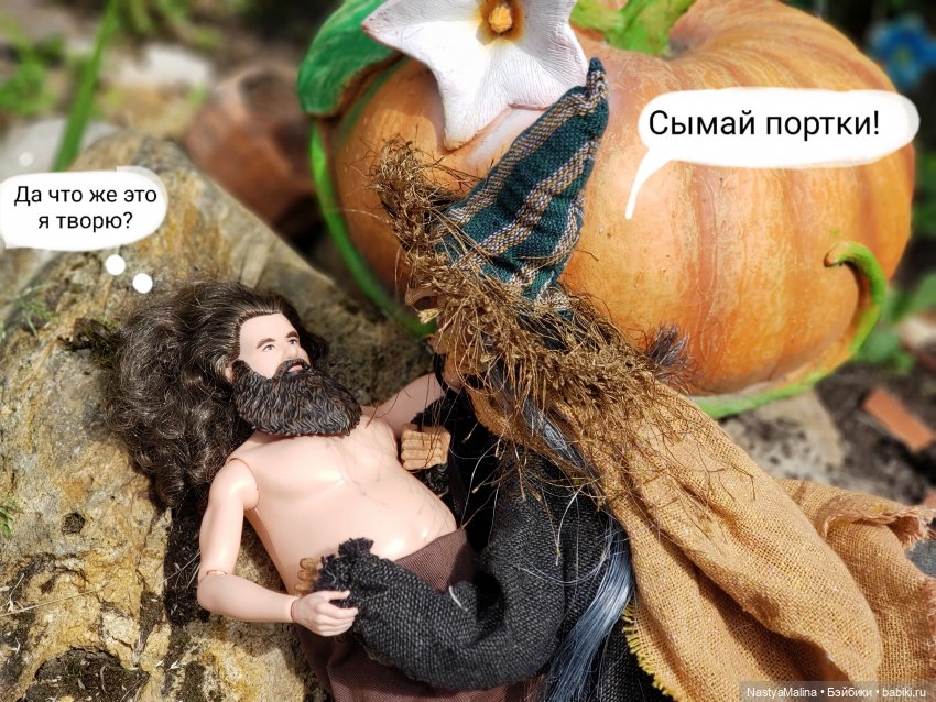 Дача 2023 (утречко у Яги - часть 2) (фото 4)