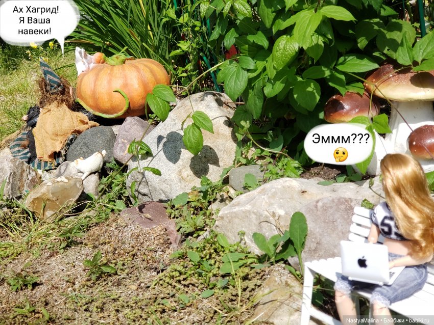 Дача 2023 ( утречко у Яги - 1 часть )