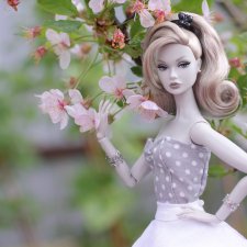 Просто фото