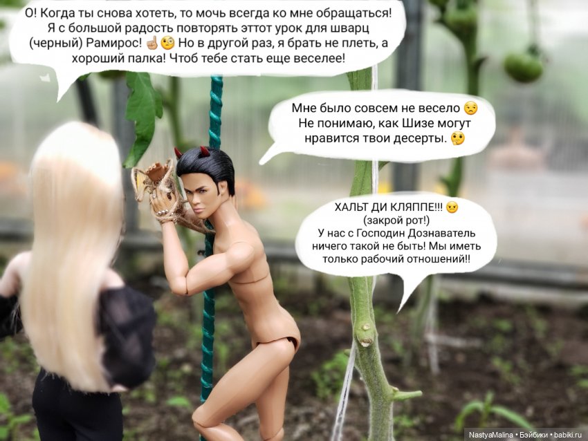 Дача 2023 ( в парнике - 2 часть )