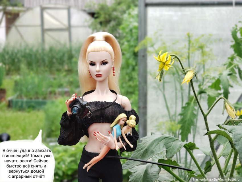 Дача 2023 ( в парнике - 1 часть )