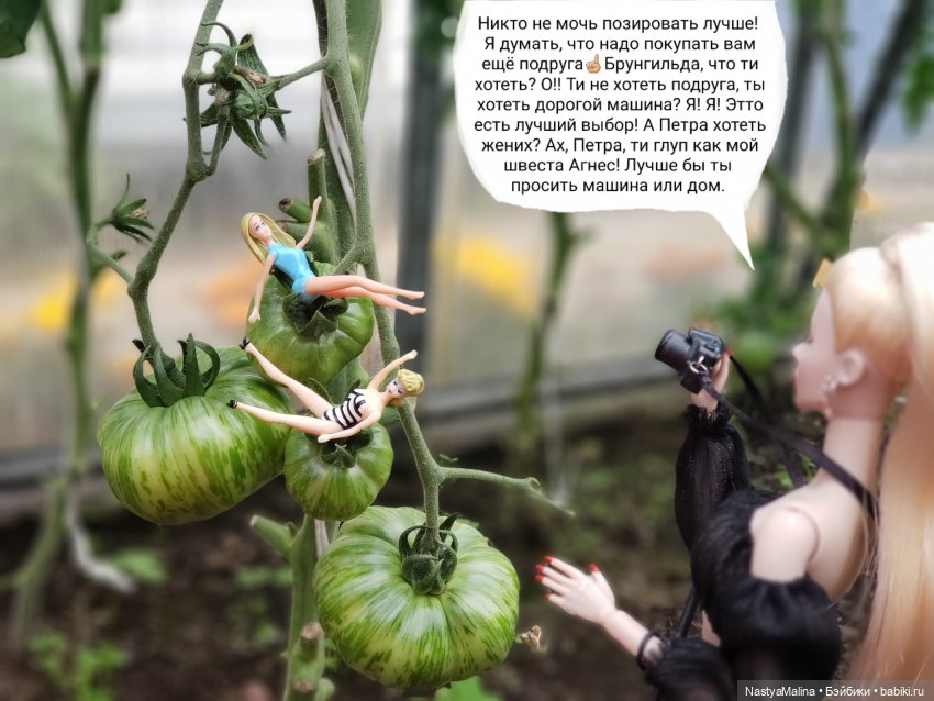 Дача 2023 ( в парнике - 1 часть ) (фото 5)