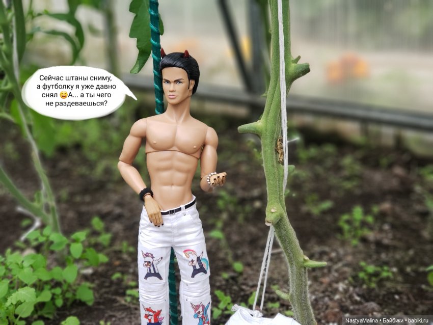 Дача 2023 ( в парнике - 2 часть ) (фото 4)