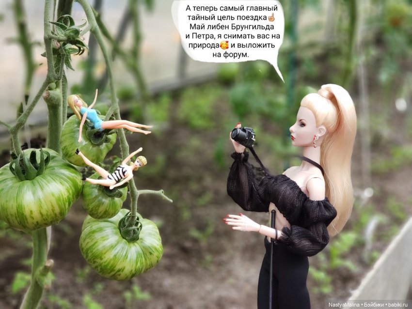 Дача 2023 ( в парнике - 1 часть ) (фото 4)