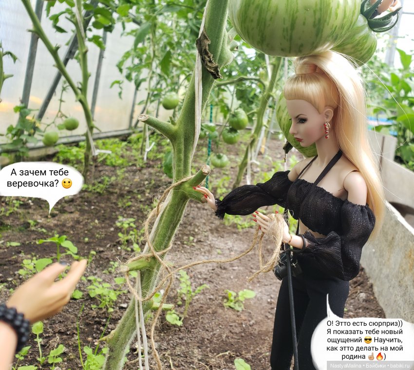 Дача 2023 ( в парнике - 2 часть ) (фото 2)