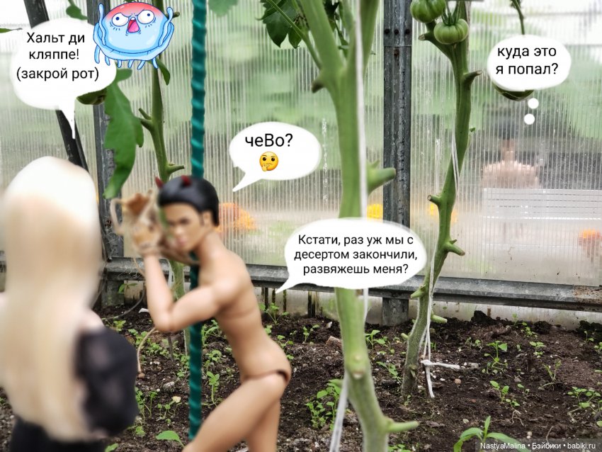 Дача 2023 ( в парнике - 2 часть )